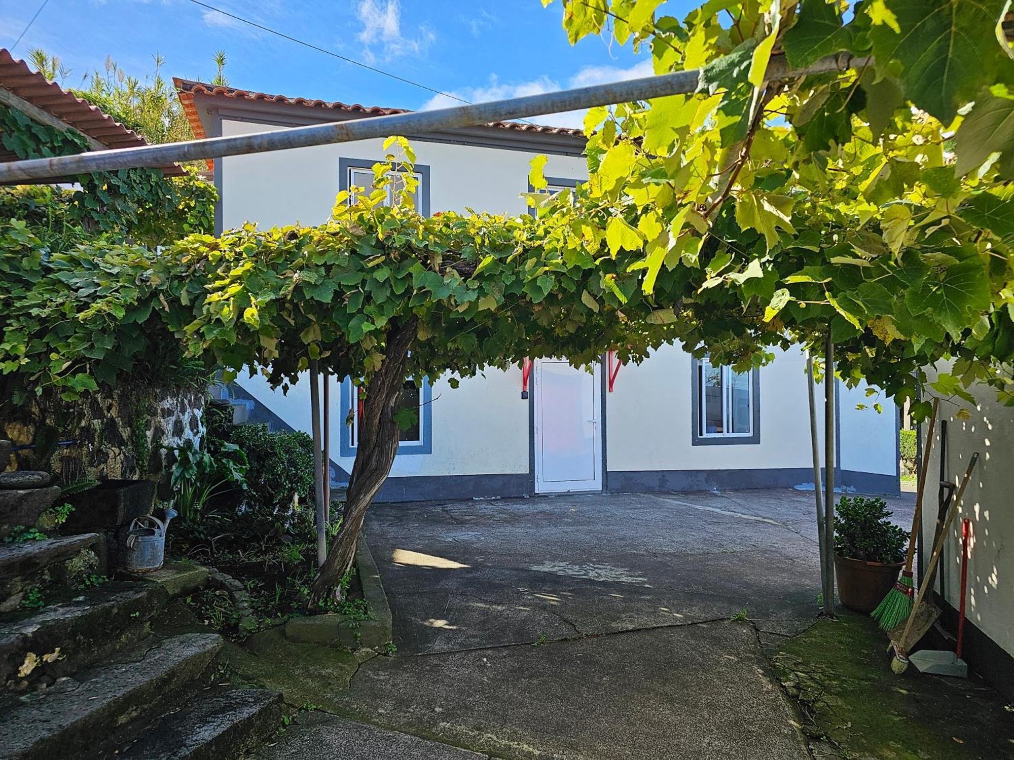 Casa Anjos Holiday Cottages Cedros エクステリア 写真