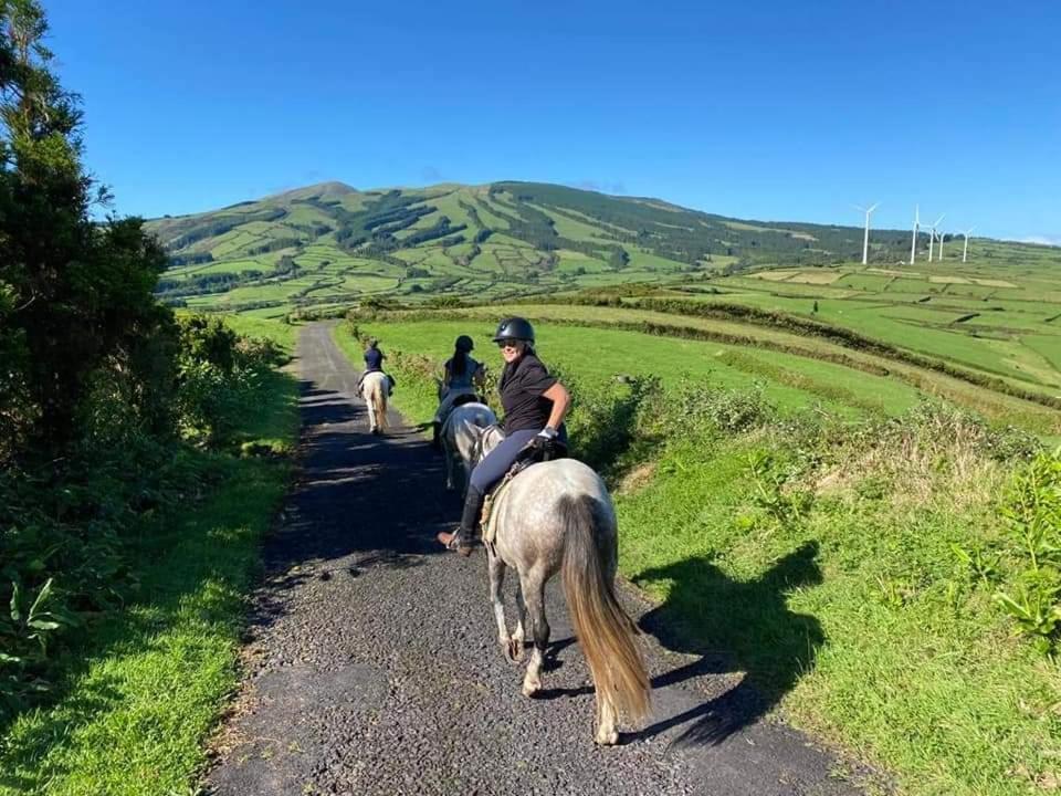Casa Anjos Holiday Cottages Cedros エクステリア 写真