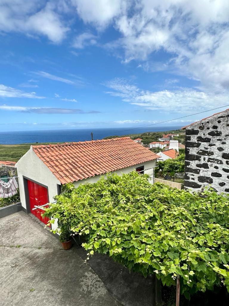 Casa Anjos Holiday Cottages Cedros エクステリア 写真