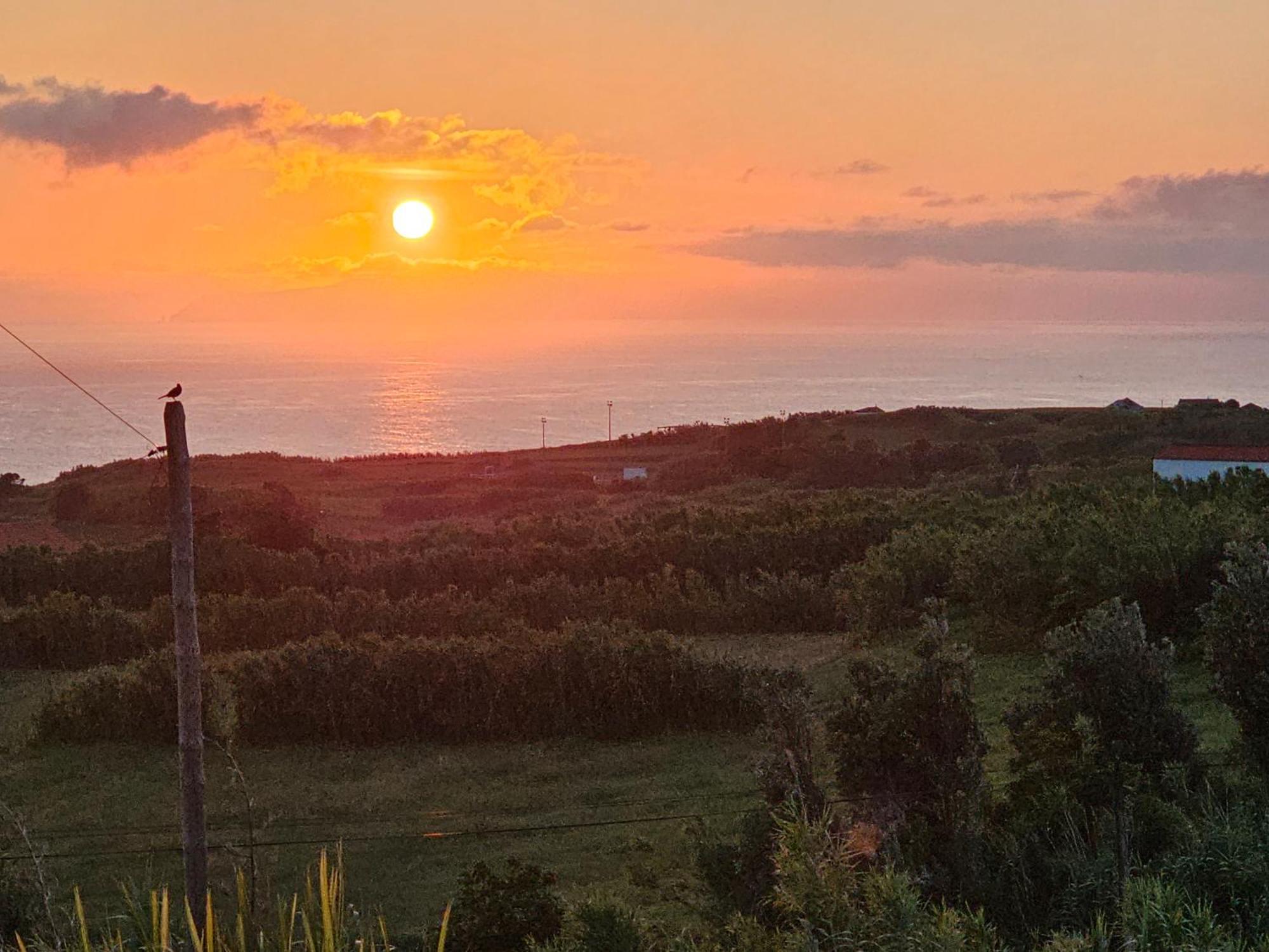 Casa Anjos Holiday Cottages Cedros エクステリア 写真