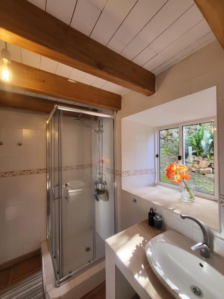 Casa Anjos Holiday Cottages Cedros エクステリア 写真