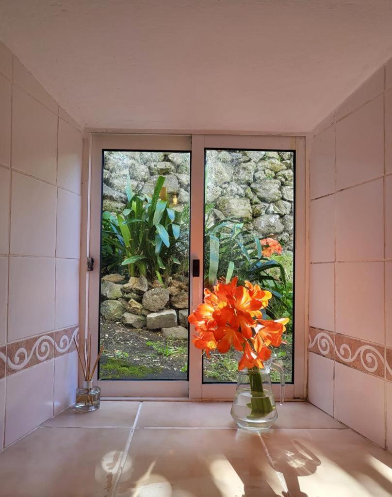 Casa Anjos Holiday Cottages Cedros エクステリア 写真