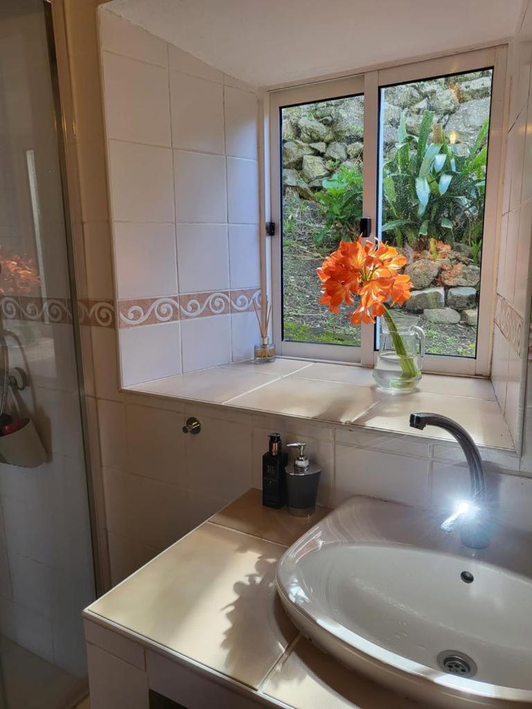 Casa Anjos Holiday Cottages Cedros エクステリア 写真