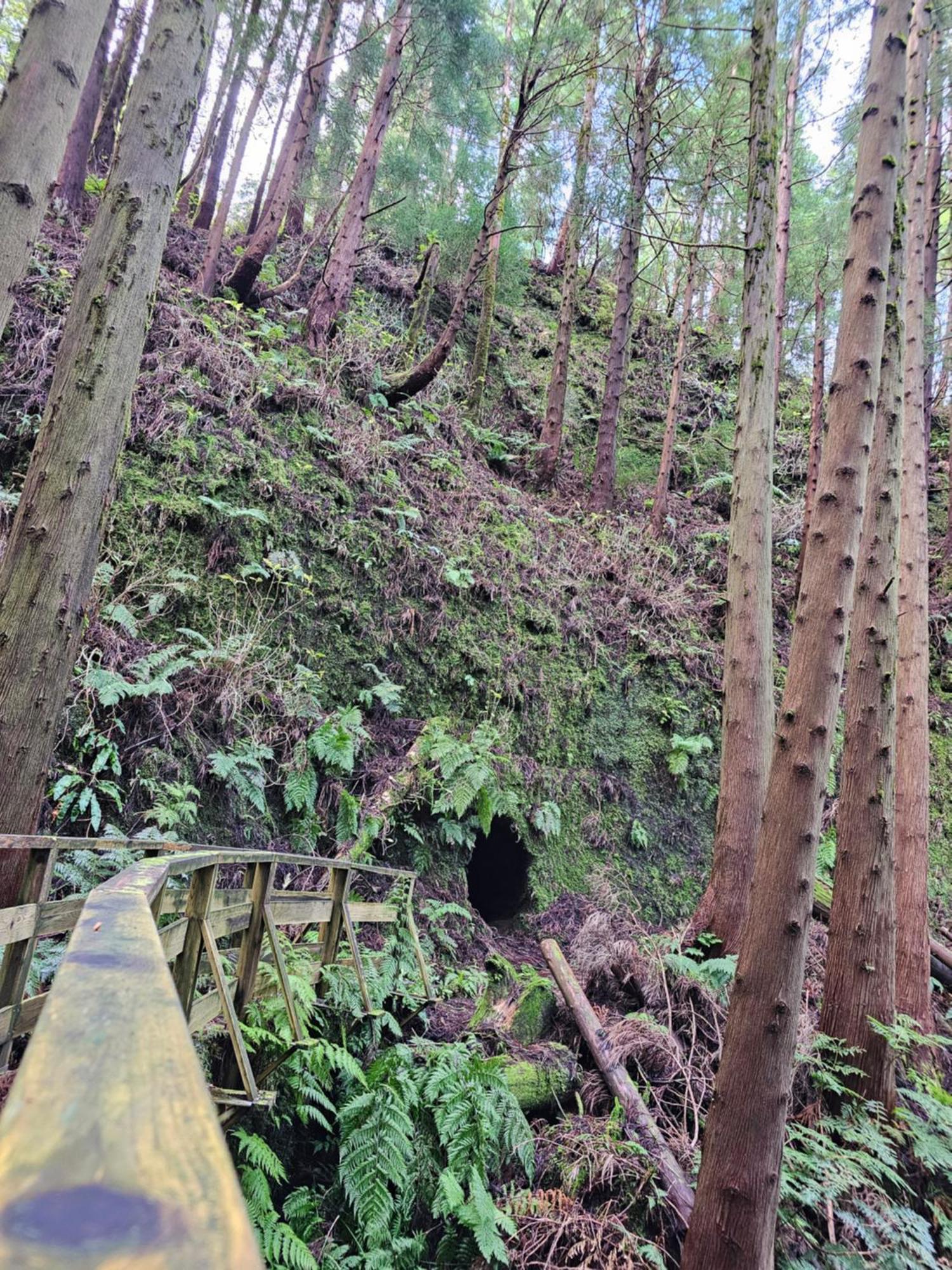 Casa Anjos Holiday Cottages Cedros エクステリア 写真