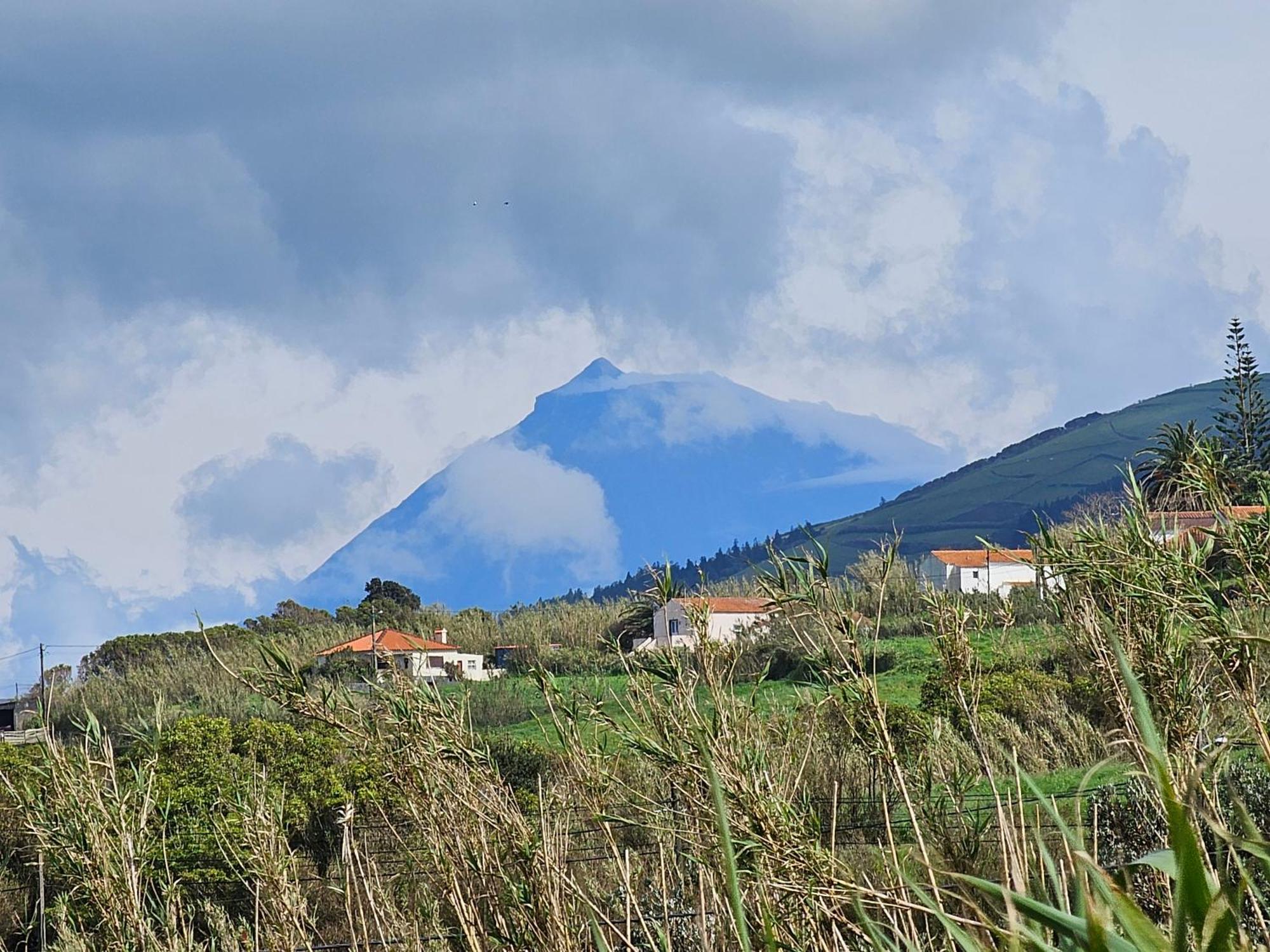 Casa Anjos Holiday Cottages Cedros エクステリア 写真